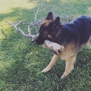 Meet your Posher, Jenna